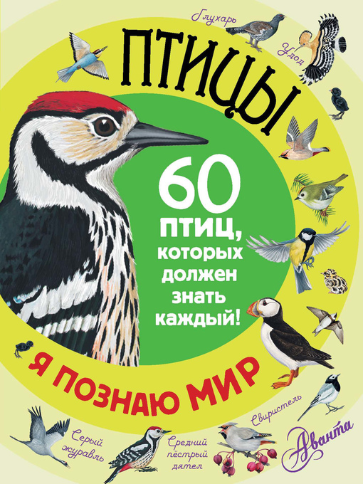 Птицы : 60 птиц, которых должен знать каждый 